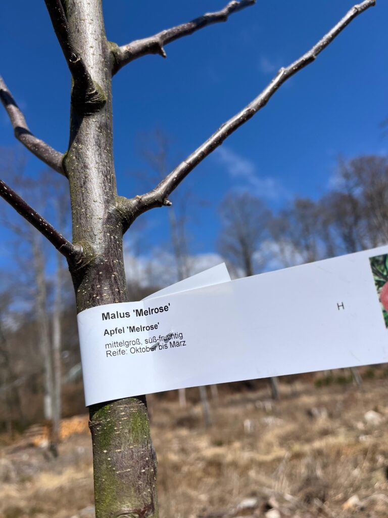 Die Dr. Kurt-Schröder-Promenade als außerschulischer Lernort