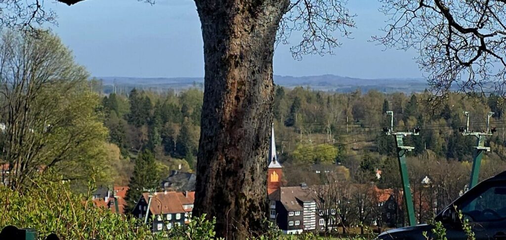 Blick über Braunlage